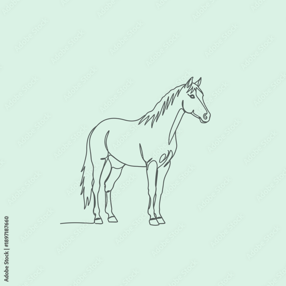 Obraz premium Elegant Horse Line Art Illustration on Minimalist Background.