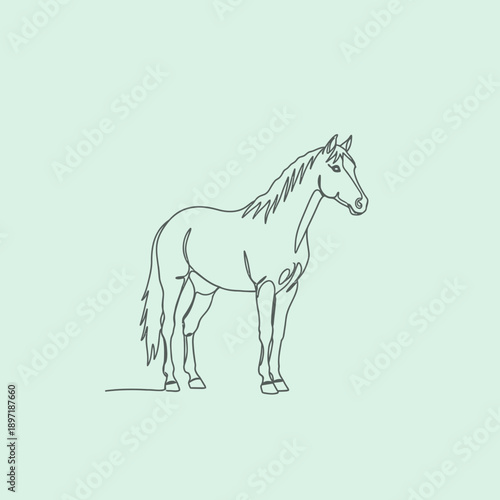 Elegant Horse Line Art Illustration on Minimalist Background.