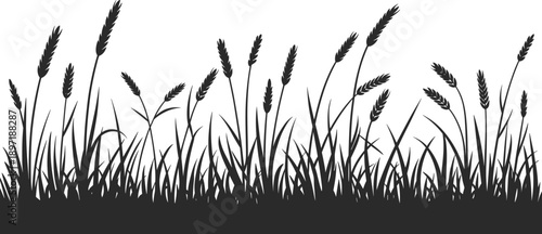 Wallpaper Mural Silhouette of tall grass and wheat stalks swaying gently in the wind against a clean white background creating a natural border Torontodigital.ca