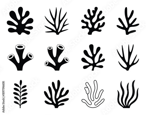 Collection of stylized black and white illustrations of various sea flora and fauna