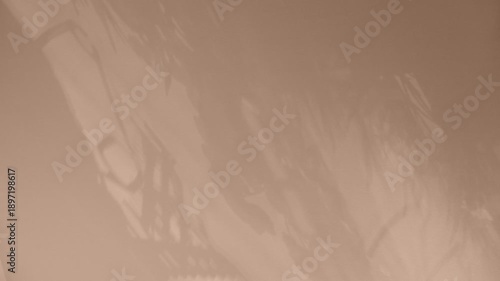 abstract shadow art that uses light and shadow from plant foliage on a surface, transforming an ordinary scene into a creative, minimalist composition