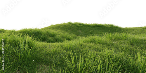 Schilderij op canvas Verdant Hill Blooming with Yellow Flowers in Spring. 3D render.