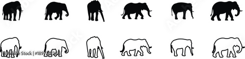 Elephant Animal Black Flat Line Style Vector Icon Set, Wildlife Mammal Symbol Collection and Nature Safari Outline Graphic Group Featuring Elephant, Pachyderm and Jumbo