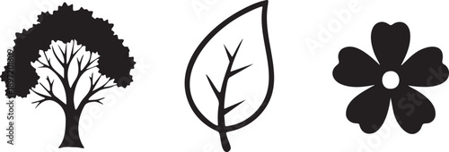 Tree Leaf Flower Botany Nature Plant Growth Environment