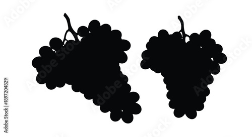 Two bunches of grapes depicted in a striking black silhouette