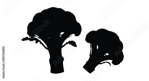 Two heads of broccoli displayed as a striking black silhouette