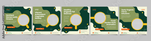 Organic Healthy Salad Social Media Carousel Templates, Editable AI file