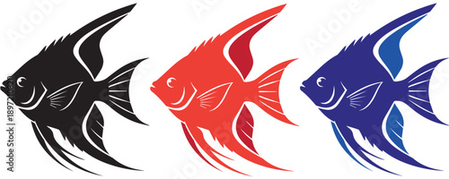 Set of tropical angelfish silhouettes in different colors, exotic aquarium fish vector illustration.