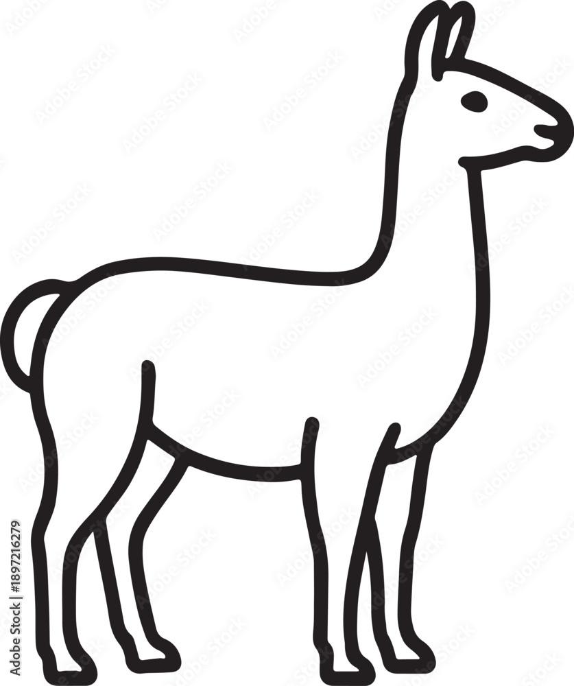 Fototapeta premium Minimalist Line Drawing of Llama in Profile