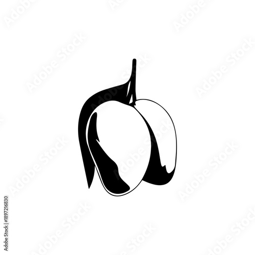 Two Mangoes on a Stem