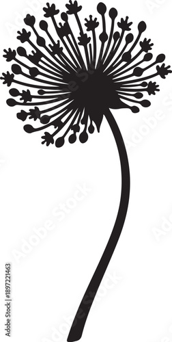 Striking black silhouette of an allium flower with a rounded head of diverse stamens and a gracefully curved stem on a clean white background.