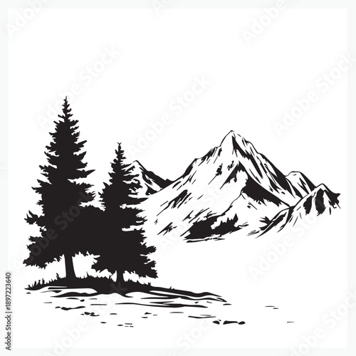 winter forest landscape