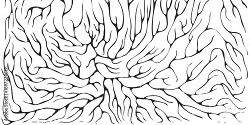 Intricate Network of Brain Gyrus and Sulcus Pattern.