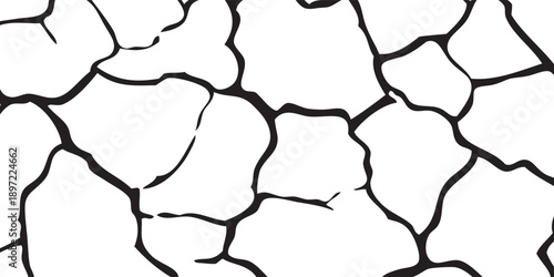 Abstract Cracked Pattern Seamless Texture Black and White.