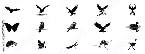 Winged Wonders and Winged Insects Silhouettes: Iconic Black and White Illustrations