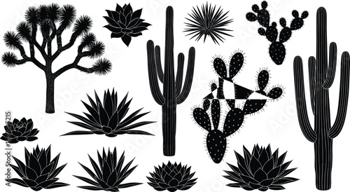 Collection of desert plant silhouettes, saguaro cactus and agave succulents for landscape design, arid environment icons, southwestern botanical nature elements.