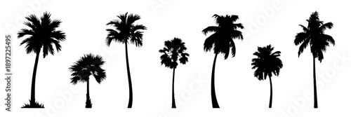 Palm trees silhouette with different shapes and sizes, black on white background, minimalistic vector style, tropical scenery, outdoor decoration, summer vibe, simple design