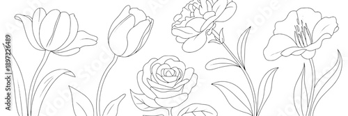 Flowers line drawing with detailed petal and leaf outlines, elegant botanical illustration, minimalist style, perfect for floral design, coloring books, botanical studies, and decoration.