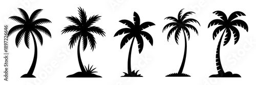 Palm trees silhouette with varying trunk shapes and frond styles, tropical and relaxed aesthetic, black on white, minimalistic vector art, suitable for travel and beach themes, elegant and simple desi