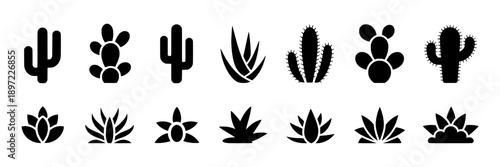 Cacti succulent plants collection with various shapes and sizes, minimalist black silhouettes, desert flora theme, decorative and natural style, vector icons for design projects or botanical illustrat