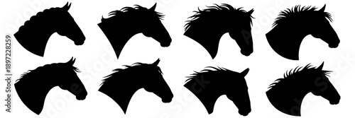 Horses head silhouettes collection with detailed mane textures and dynamic profile shapes for use in design, branding, and artistic projects featuring equine imagery