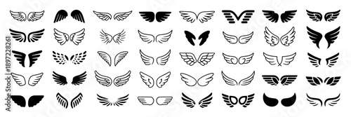 Butterflies wing pattern collection with black and white sets showcasing different shapes, styles, and sizes for design, decoration, or scientific reference