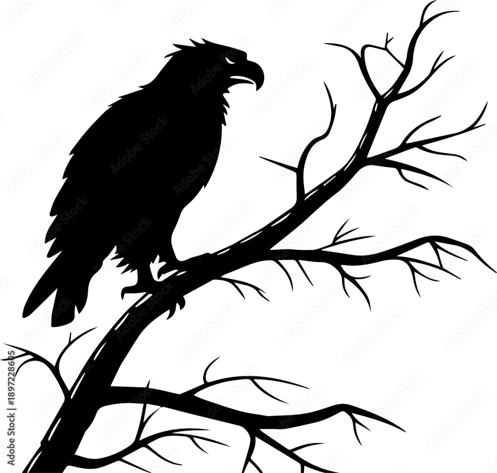 Fototapeta premium Raven Silhouette on Bare Tree Branch Dark Gothic Bird Illustration