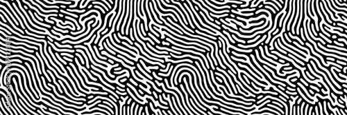Fingerprint abstract pattern with black wavy lines and ridges on a white background, intricate maze-like design, stylized surface texture for security, identification, biometrics, graphic art, tech el