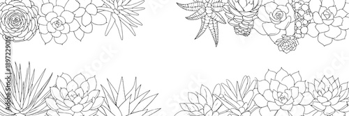 Succulents plant illustrations with detailed line art, botanical sketches of rosette-shaped and spiky foliage for nature-inspired design, coloring pages, and botanical studies