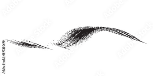 Abstract brush stroke of black ink on a white background.