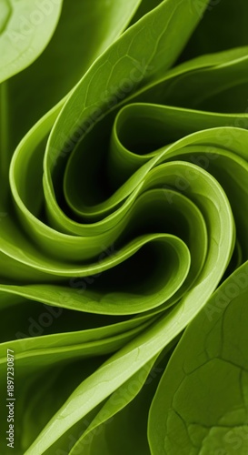 Close-up View of Curled Green Leaves with Intricate Texture and Vibrant Color