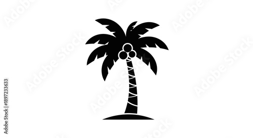 palm tree vector illustration