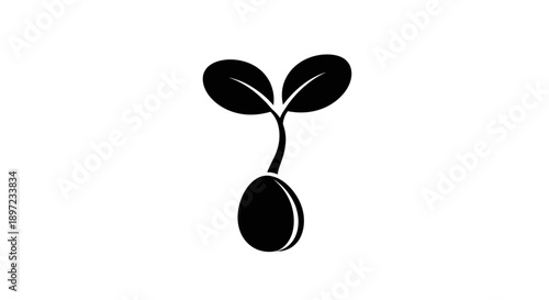 black and white flower