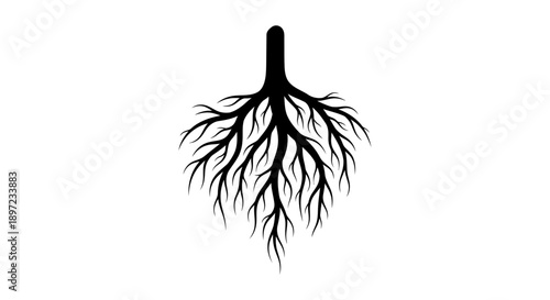 vector silhouette of a tree branch