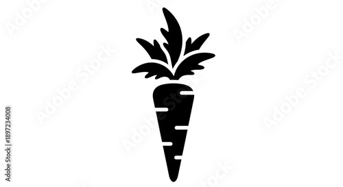 carrot isolated on white background