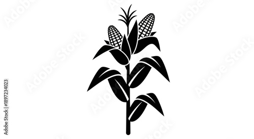 vector illustration of a plant