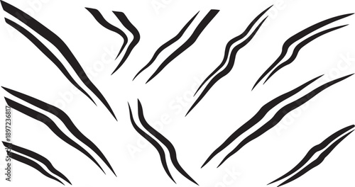 Black and white abstract zebra stripes pattern design element
