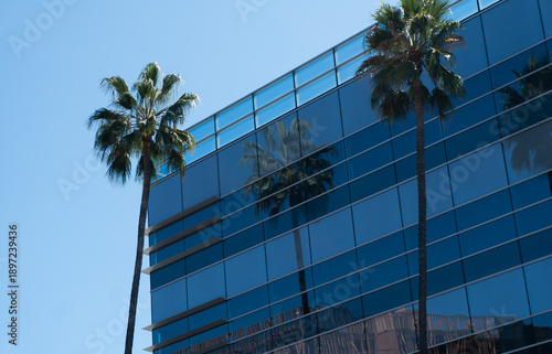 Fényképezés Modern blue glass office building with palm trees and reflections under a clear
