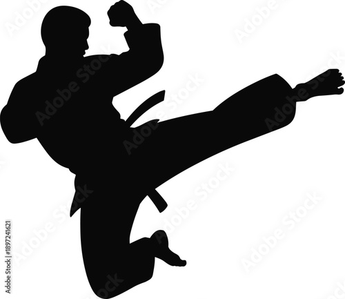 Black silhouette of a karate practitioner executing a powerful jumping side kick with a white background