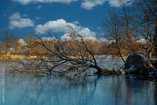 Dem Sturm zum Opfer gefallen
