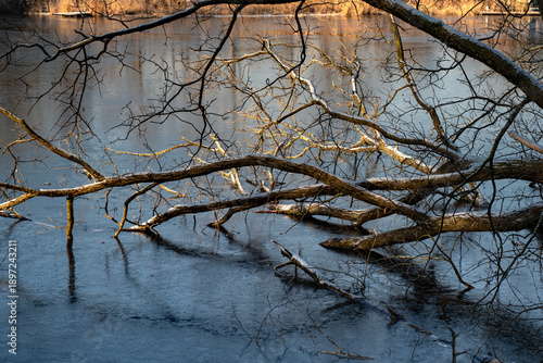 Deer Winter hat alles im Griff