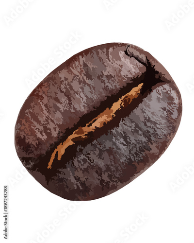 Single Roasted Coffee Bean with Rich Dark Texture