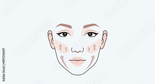 Woman face with facial massage guide. Concept of anti-aging cosmetic procedure, skin care, and beauty treatment for rejuvenation.