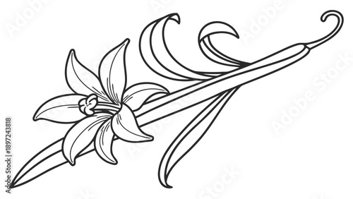 Elegant floral design with curved lines and leaves