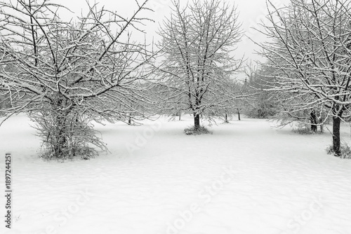 Der Winter hat alles im Griff