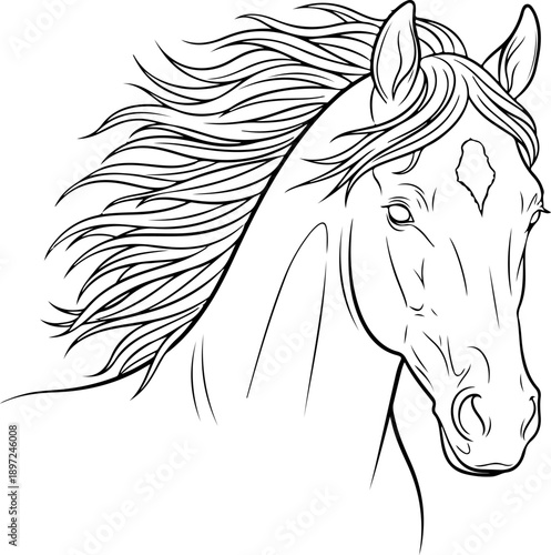 Vector illustration of a majestic horse's head with flowing mane, close-up, dynamic, black and white