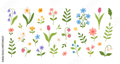 Set of doodle spring summer flowers