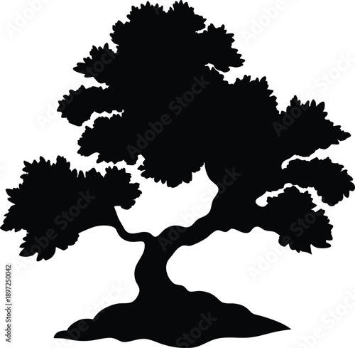 Juniper tree with irregular natural form on rocky terrain scenic nature landscape Vector illustration