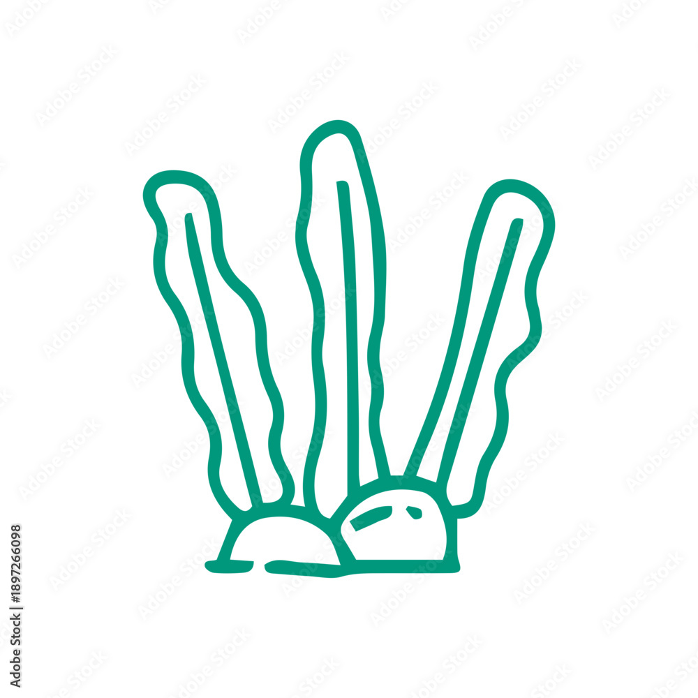 Fototapeta premium hand drawn seaweed