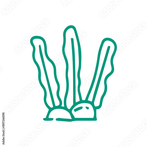 hand drawn seaweed